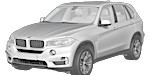 BMW F15 P195E Fault Code